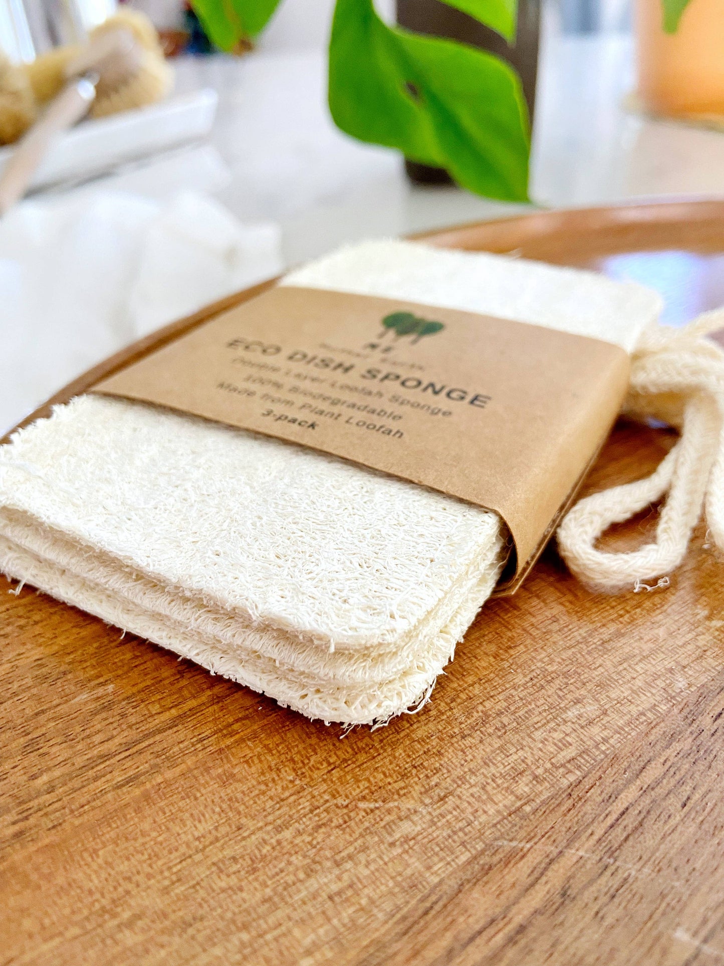Compostable Loofah Dish Sponge: Double Layer 3-Pack