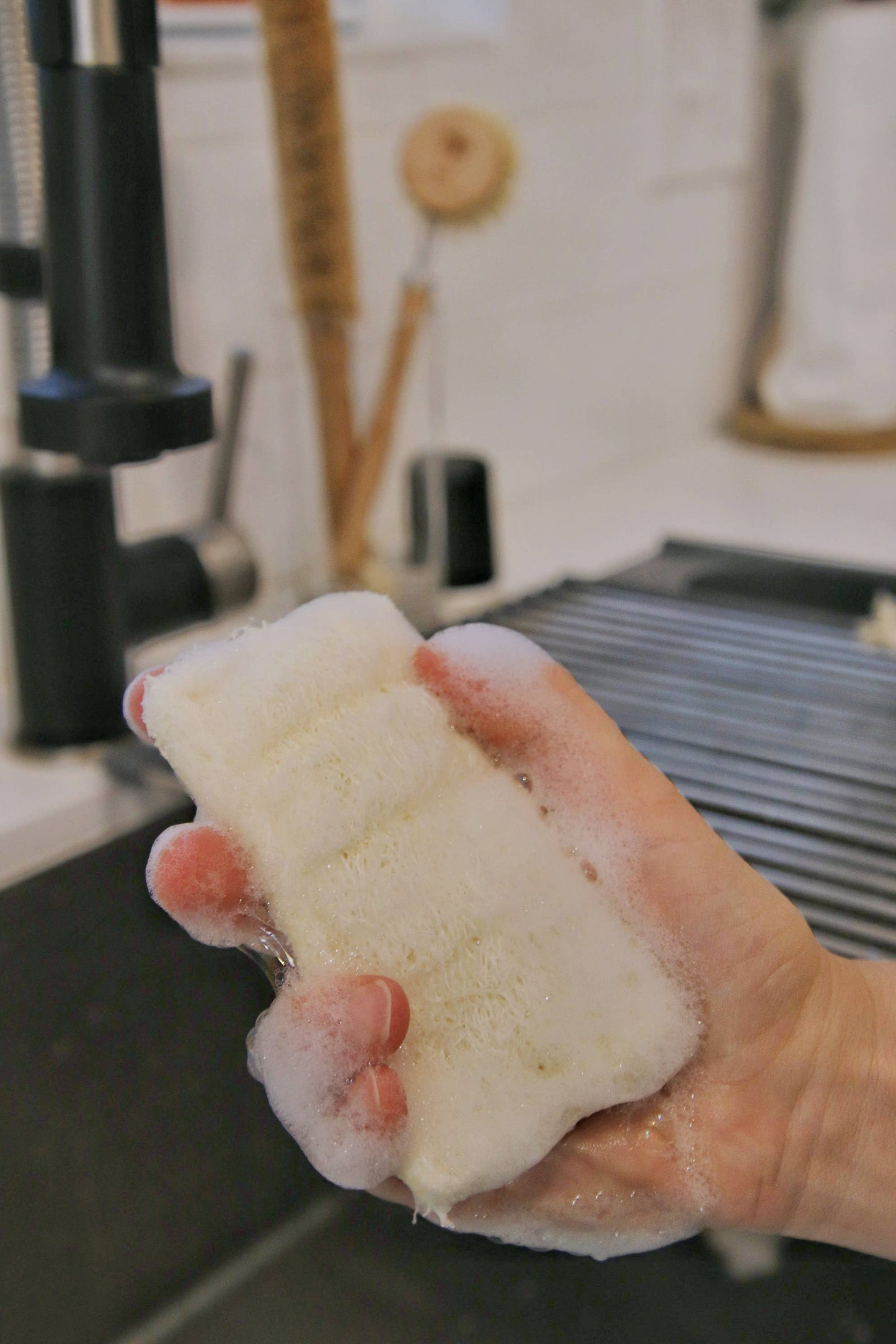 Compostable Loofah Dish Sponge: Double Layer 3-Pack